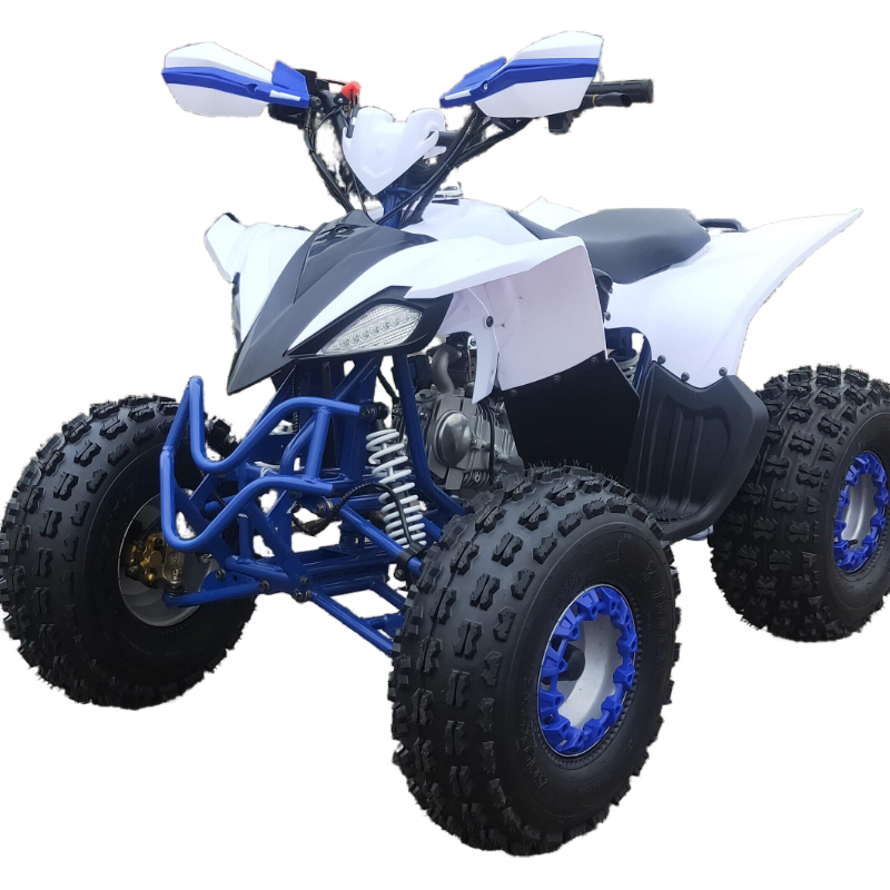 High quality 125cc 4x2 ATV for adults for kids four wheeler atv for sale FL-125ZY